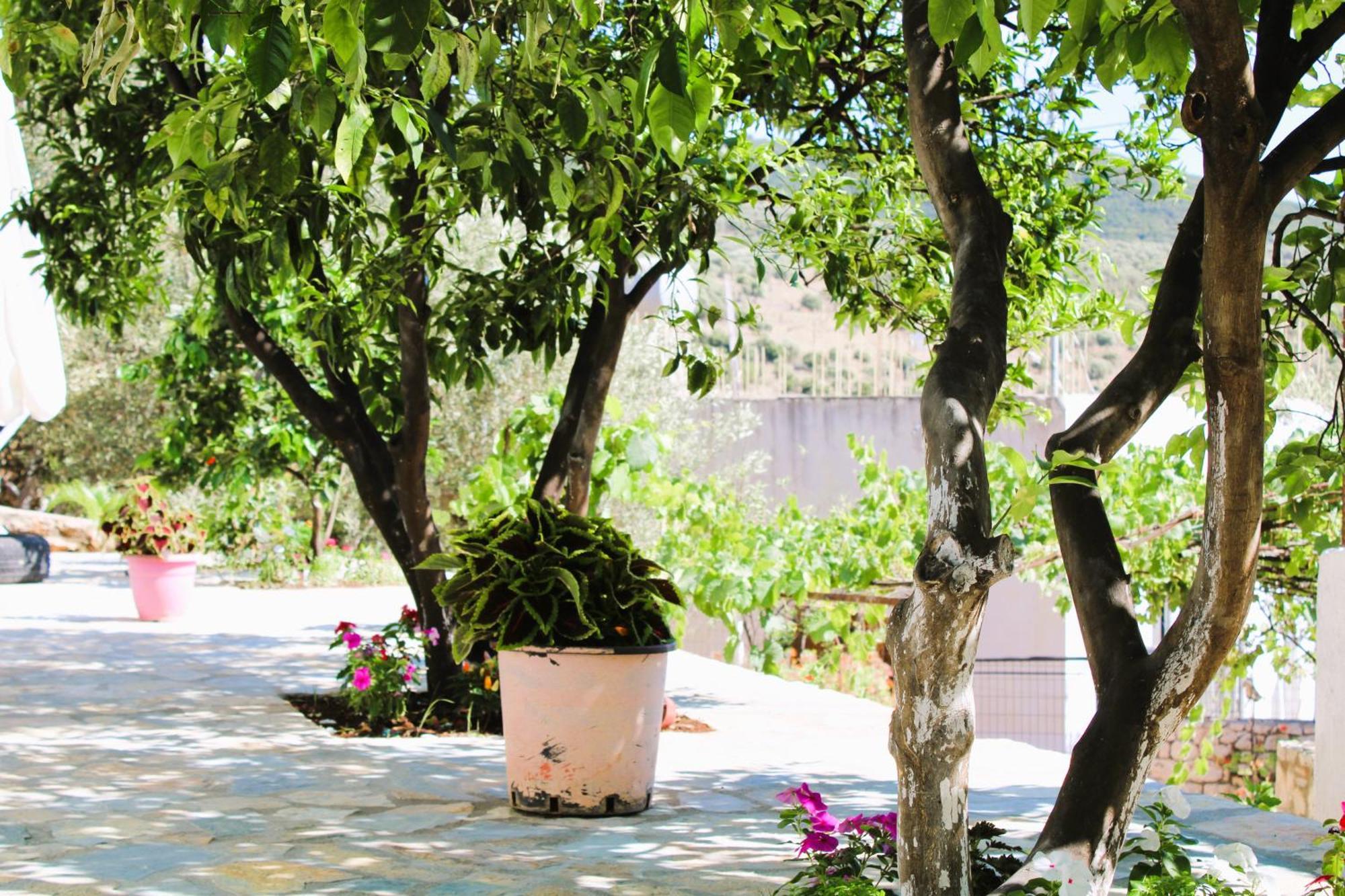 Keli Apartments Ksamil Exterior photo